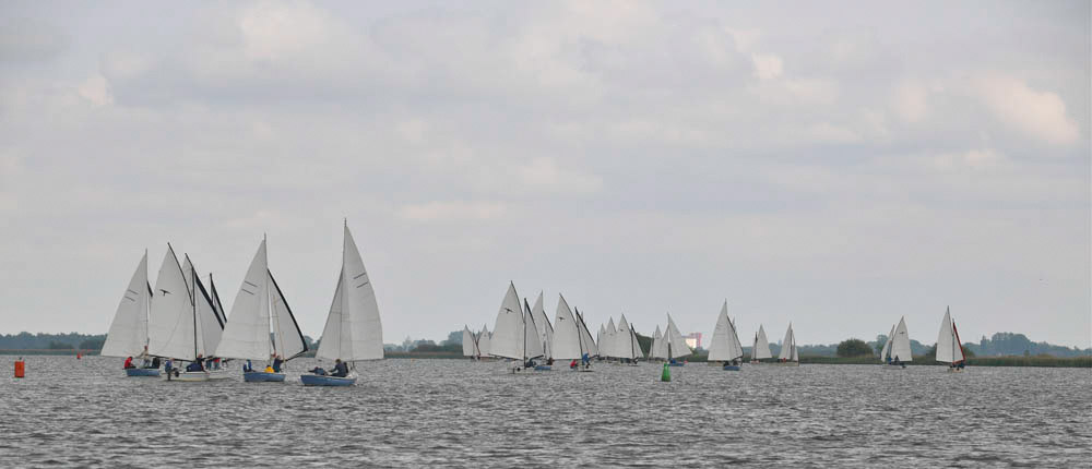 DSC_2649