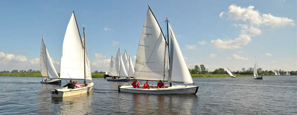 _NID8808