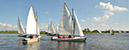 _NID8808